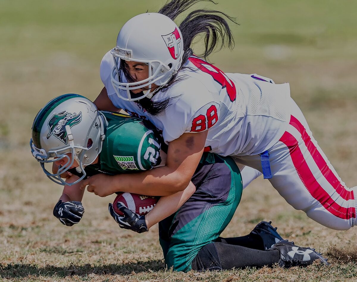 Dictum Felis sapien eget